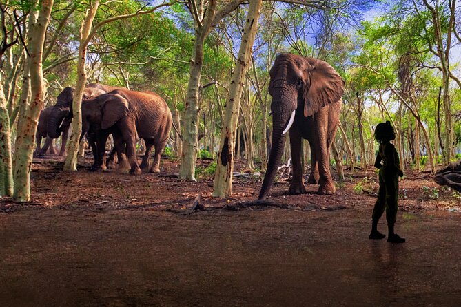 Illuminarium Las Vegas - The Sum Up