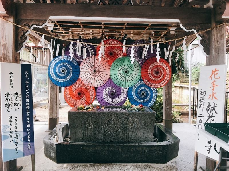 Illuminated Ginzan Onsen & Tohoku Highlights Bus Tour from Sendai - Seasonal fruit at Sagae Cherry Land