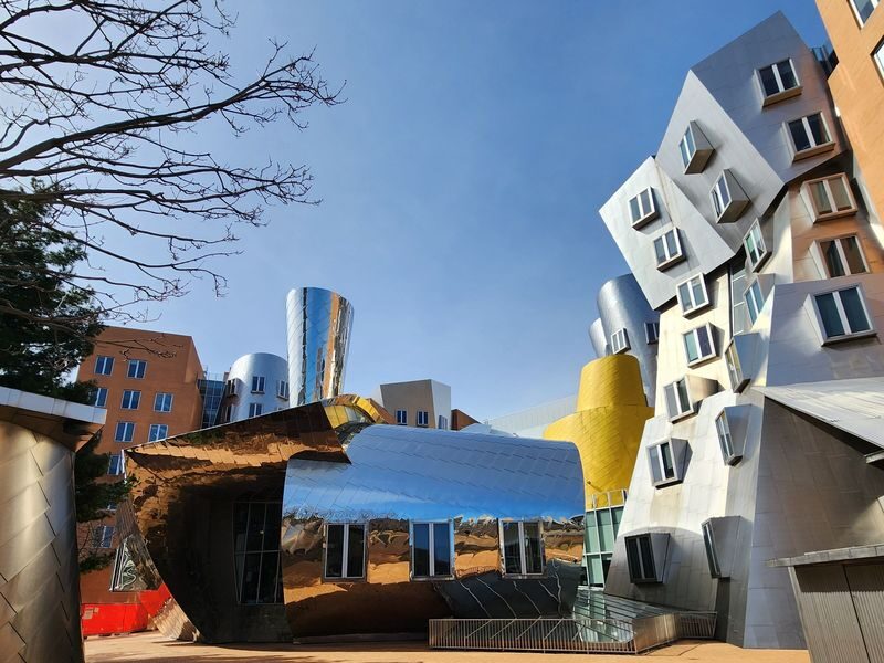 Illustrious Schools: MIT and Harvard University Walking Tour - Who will get the most from this walk