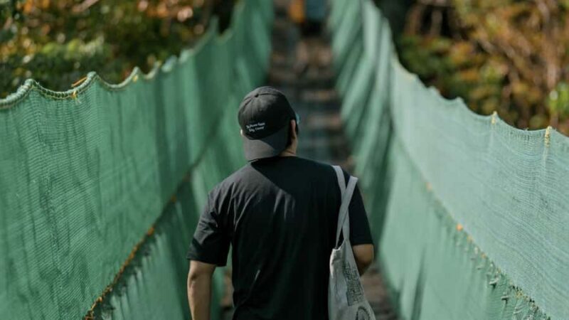 Iloilo: Balay Tablea, Calle Real & Damires Hills Tour - Good To Know