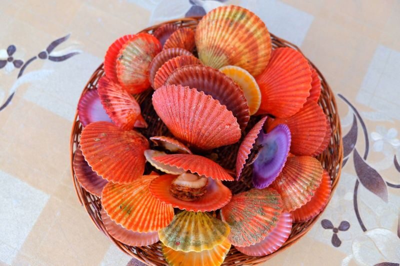 Iloilo Gigantes & Sicogon Island Full-Day Boat Tour - Scallops at Lantangan Beach: a real lunch, not an afterthought