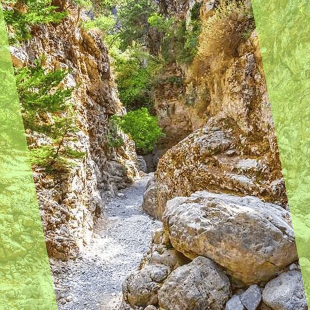 Imbros Gorge : A Hiking Tour with Local Guide - What to Expect from the Imbros Gorge Tour