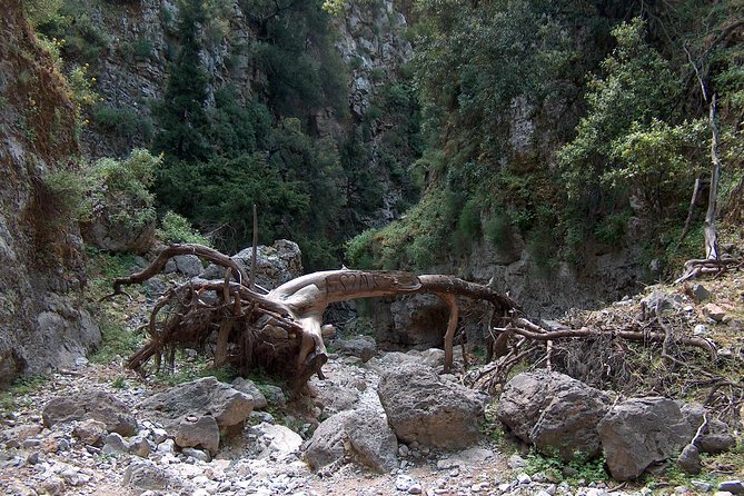 Imbros Gorge and Libyan Sea Day Tour From Rethymno - Traveler Photos