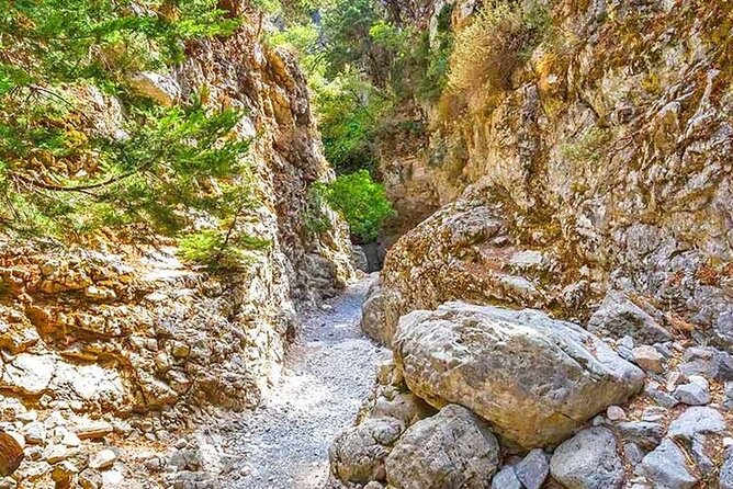 Imbros Gorge and Libyan Sea Day Tour From Rethymno - Reviews