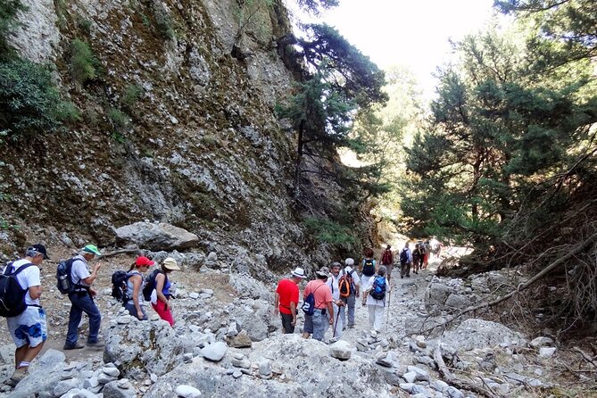 Imbros Gorge and Libyan Sea Full-Day Tour From Heraklion - Trekking Requirements and Recommendations