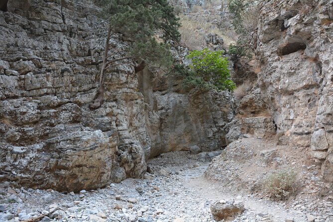 Imbros Gorge & Frangokastello - From Rethymno With the Best Guide - Directions