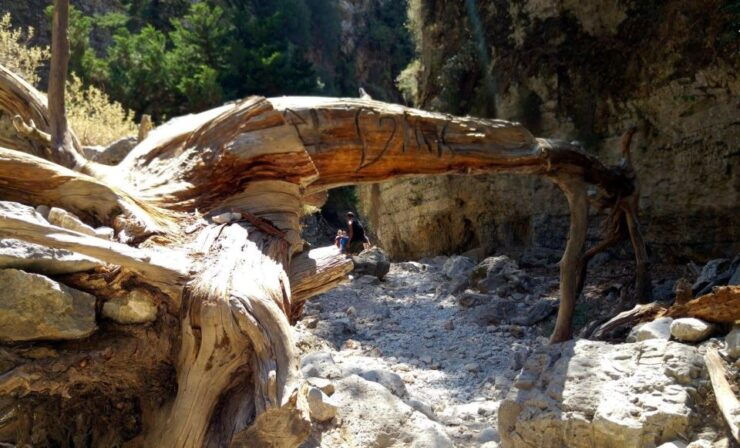 Imbros Gorge Hike From Rethymno - Hiking Trail Overview