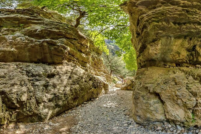 Imbros Gorge Hiking From Chania - Transportation Options