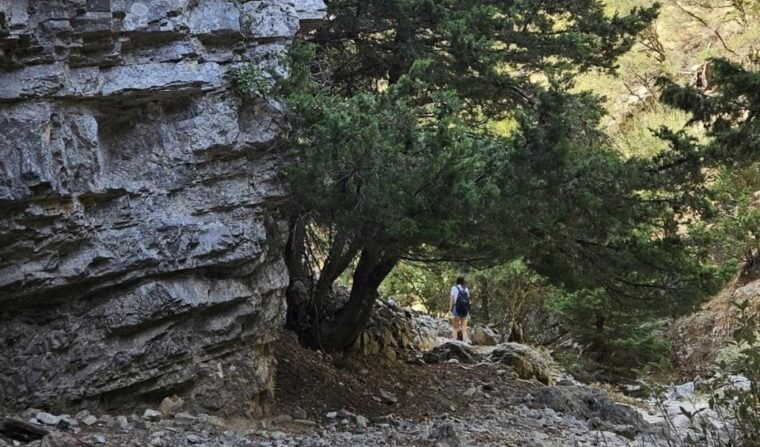 Imbros Gorge: Walk the Trail, Live the Story Private Tour - Who will love this tour?