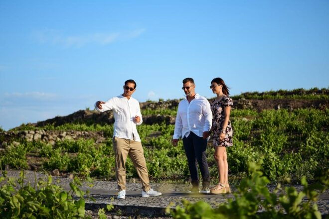 Imerovigli: Premium Wine Tasting With Caldera and Sea Views - Exceptional Service