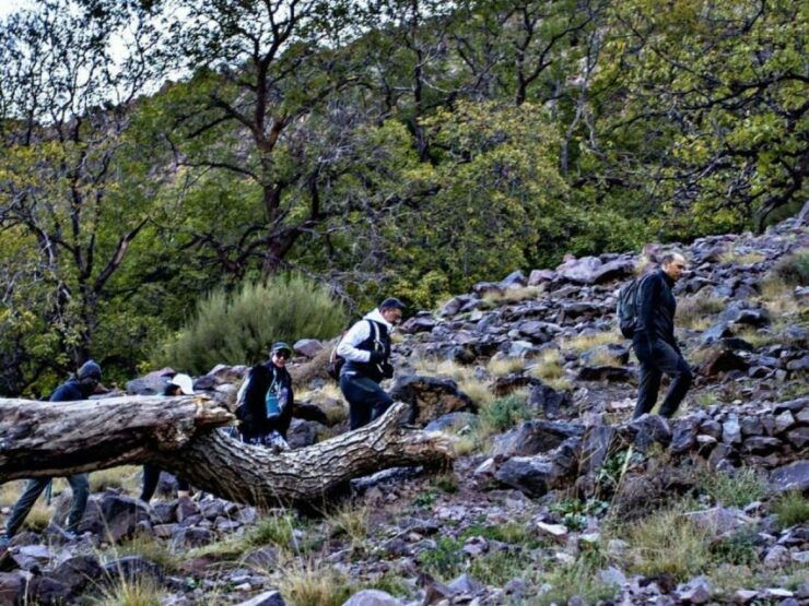 Imlil Day Trip - Berber Culture Immersion