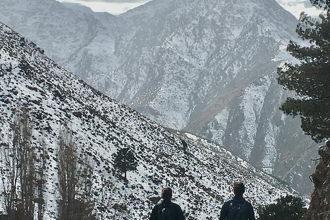 Imlil Escape: Atlas Mountains Day Trip & Homely Lunch - How to Book the Imlil Escape Trip