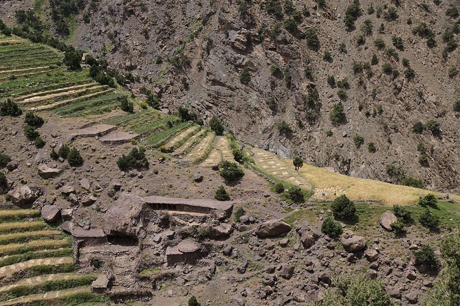 Imlil Private Day Trip to Toubkal Valley With Lunch - Pricing and Reviews