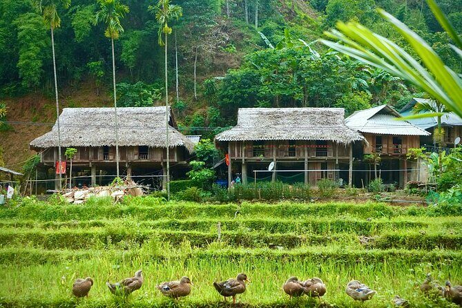 Immerse in Mai Chau: Explore the Colorful Northwest & Hidden Cave - Who Would Love This Tour?