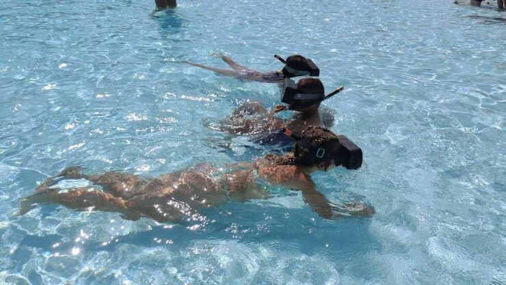 Immerse Yourself Between Virtual and Real in the Ocean Floor - Experience Details