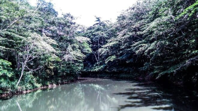 Immerse Yourself in Kandys Vibrant Gardens and Culture - Inclusions for Your Tour