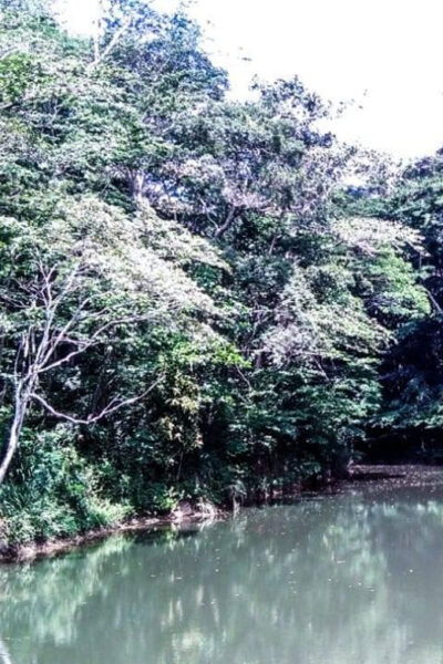 Immerse Yourself in Kandys Vibrant Gardens and Culture - Frequently Asked Questions