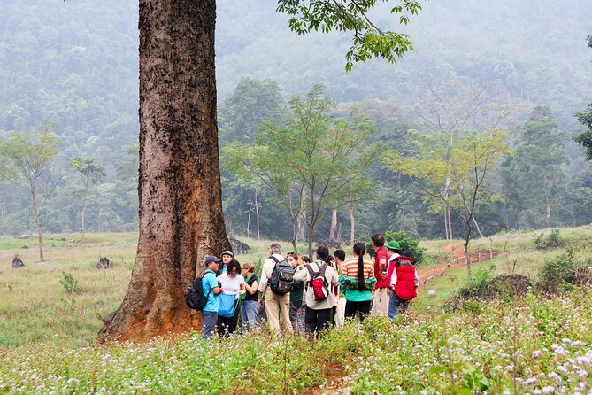 Immerse Yourself in the Authentic Live of Dao Tien People 2D1N - Day 1: Enjoy Authentic Dao Tien Cuisine