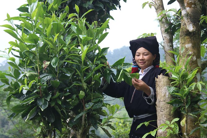 Immerse Yourself in the Authentic Live of Dao Tien People 2D1N - Day 2: Explore the Natural Surroundings of the Dao Tien Village