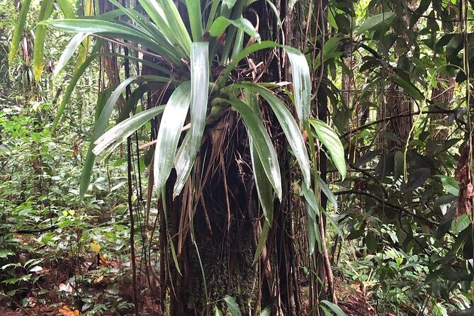 Immerse Yourself In The Natural Beauty of Vermont Nature Trails - Good To Know