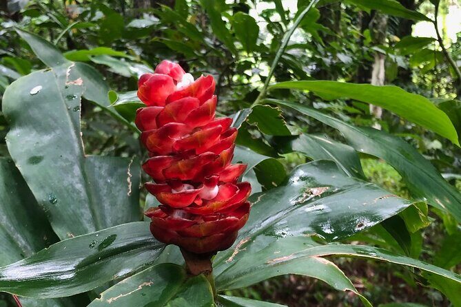 Immerse Yourself In The Natural Beauty of Vermont Nature Trails - An In-Depth Look at Vermont Nature Trails