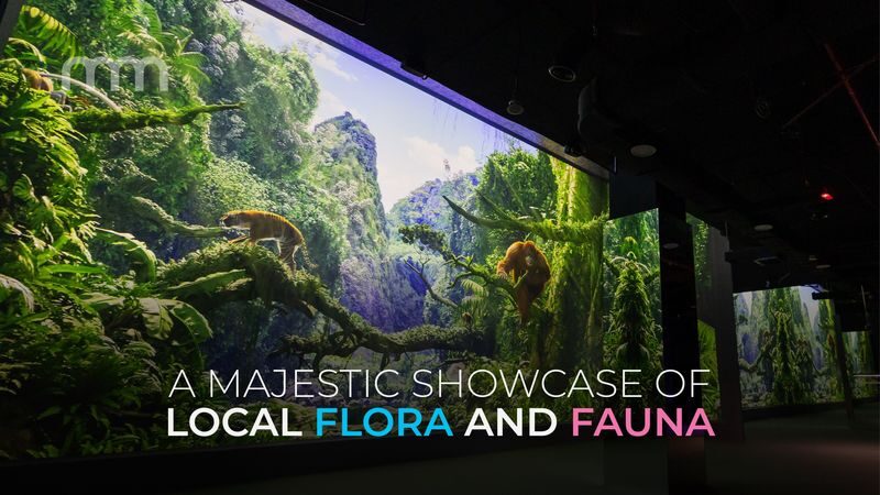 Immersify Kuala Lumpur Ticket - Is the ticket worth the price?