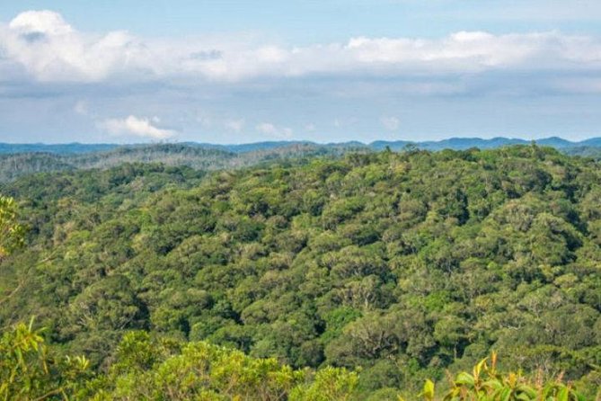Immersion In An Untouched Ecosystem – Adventurous Full Day Hiking Tour - Flora and Fauna Highlights