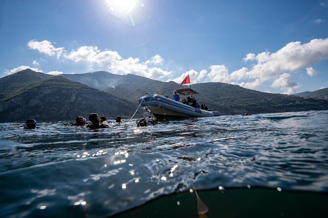 Immersion in Banco Santa Croce From Sorrento With Expert Guide - Experience Highlights