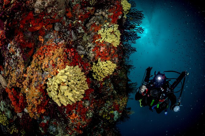 Immersion in Banco Santa Croce From Sorrento With Expert Guide - Additional Information