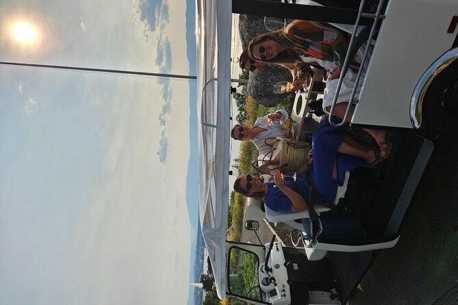 Immersion in the Geneva Vineyards by Tuktuk With Tasting - Private Tuktuk Transportation