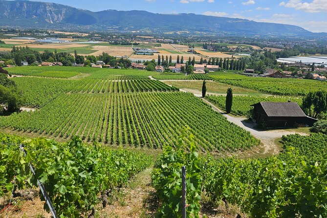 Immersion in the Geneva Vineyards by Tuktuk With Tasting - Wine Tasting and Local Flavors