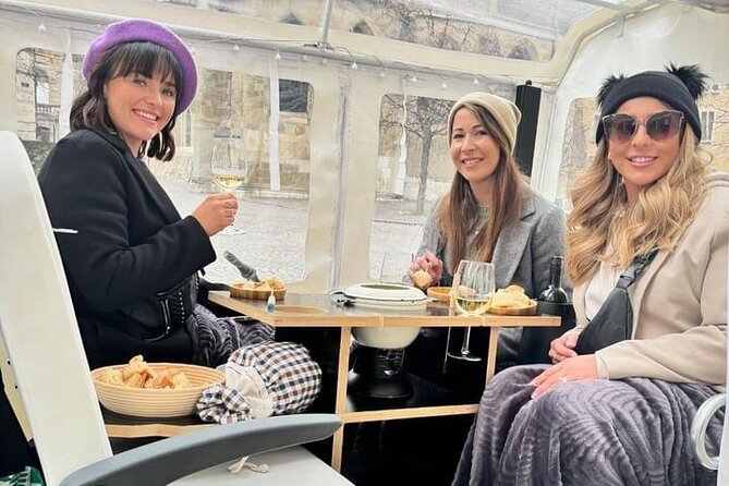 Immersion in the Geneva Vineyards by Tuktuk With Tasting - Accessibility and Age Restrictions