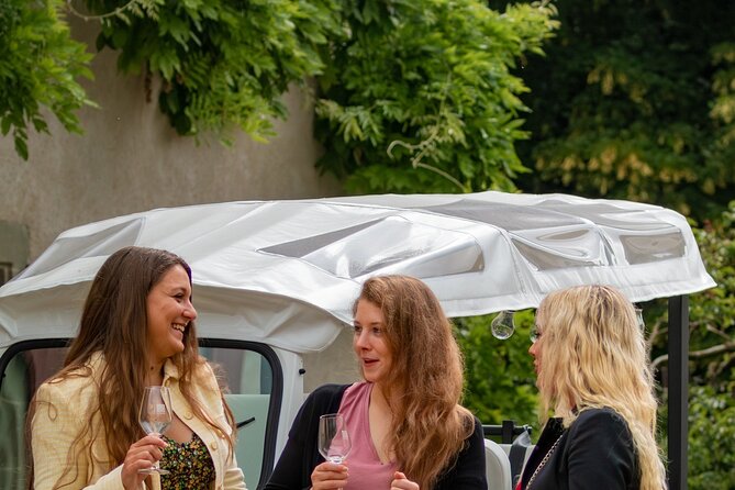 Immersion in the Geneva Vineyards by Tuktuk With Tasting - Additional Information and Recommendations