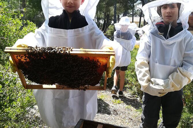 Immersion in the Life of a Hive and its Sacred Bees - The Value and Practical Considerations
