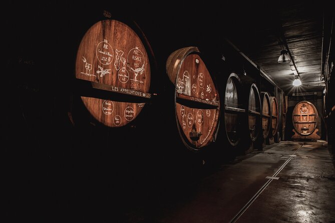 Immersive Cellar Visit, Tasting and Picnic Basket - The Sum Up