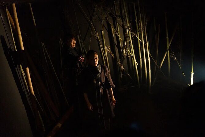 Immersive Experience Anemoia Tokyo Ticket - What Is Anemoia Tokyo?