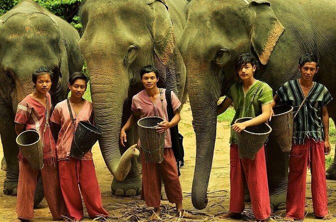 Immersive Kerchor Elephant Sanctuary Eco Park in Karen Tribe life - Who Will Love This Tour?  