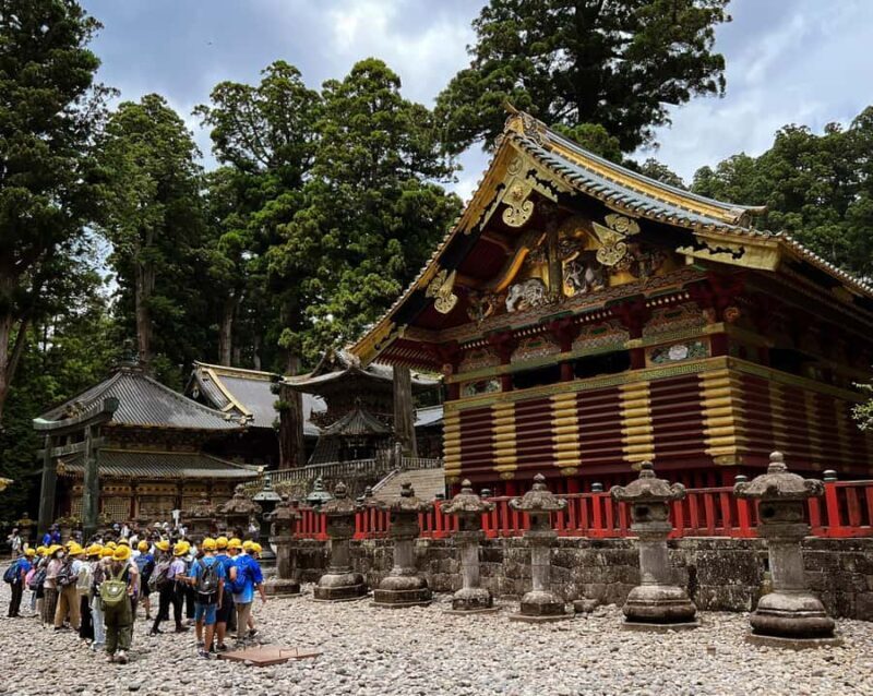 Immersive Nikko Experience Full-Day Guided Walking Tour - Why This Tour Is Perfect for You