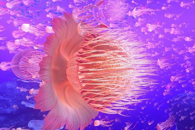 Immersive Virtual Reality Arcade Experience for 1 Hour (Includes Training) - Potential Considerations