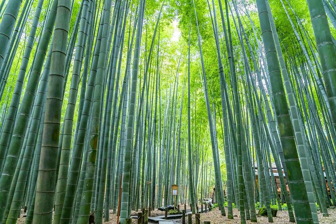 Immersive Zazen Experience Kamakura Tour From Tokyo With Pickup - Inclusions
