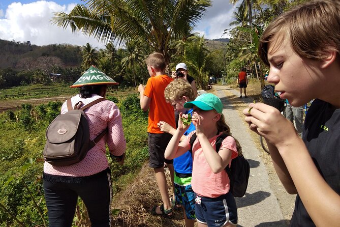 Imogiri Walking Tours - Tour Highlights
