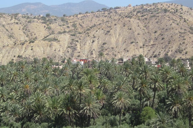Imouzzer High Atlas Mountains Tour From Agadir - Reviews