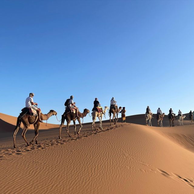 Imperial Cities, Sahara Desert Tours From Marrakech – 8 Days - Booking Details and Logistics