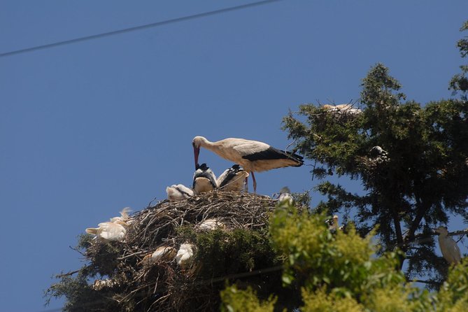 Imperial City Tours Morocco - Additional Information