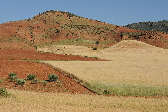 Imperial City Tours Morocco - Pricing and Reviews