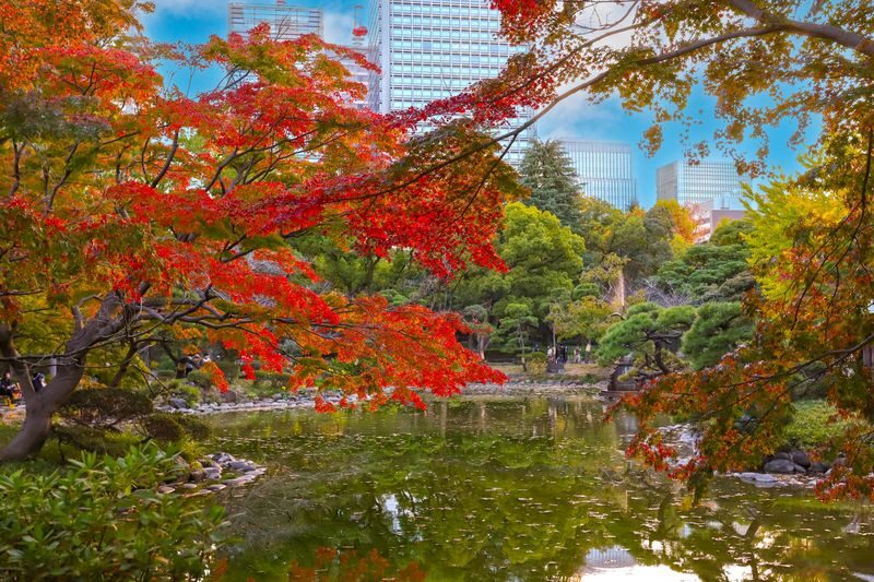Imperial Palace East Garden and Heritage of Edo Castle Private Tour - From Tokyo Station to Edo Castle