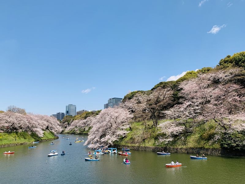 Imperial Palace East Garden and Heritage of Edo Castle Private Tour - Should you book it?