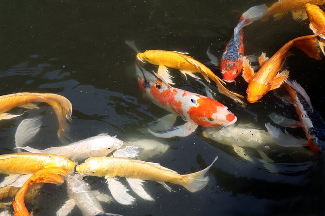 Imperial Palace East Garden and Heritage of Edo Castle Tour - Special Offer Details