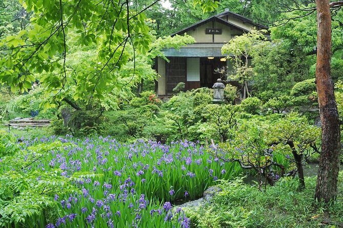Imperial Palace, Meiji Shrine, & Aoyama Tour - The Sum Up