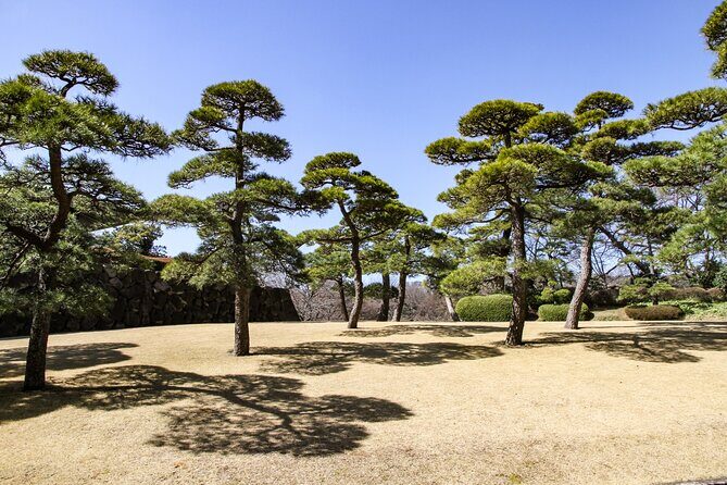 Imperial Palace to Tokyo Station Historical Walking Tour - FAQ